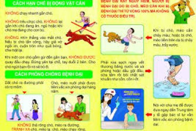 BÀI TUYÊN TRUYỀN PHÒNG CHỐNG BỆNH DẠI